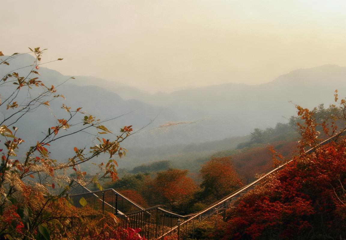 《守望先锋》电竞纪录片《破壁者》获国际奖项-米兰电竞